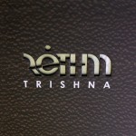 Rethm-Trishna-Insignia-As-Found-On-The-Loudspeaker’s-Woodwork-Audiocadabra