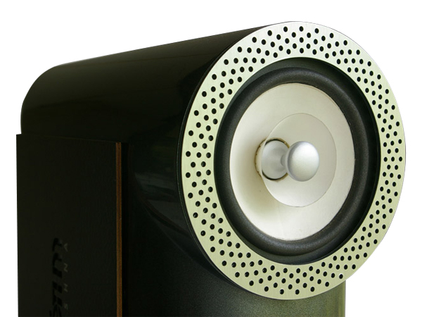 Rethm's-Custom-Made-5-Inch-Full-Range-Driver-With-Whizzer-Audiocadabra