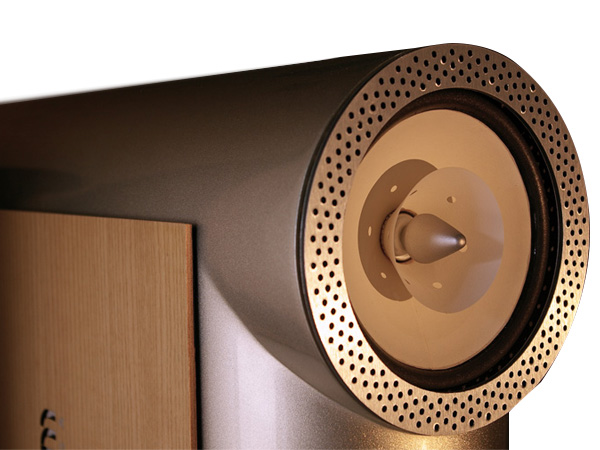 Rethm's-Custom-Made-6-Inch-Full-Range-Driver-With-Whizzer-Audiocadabra