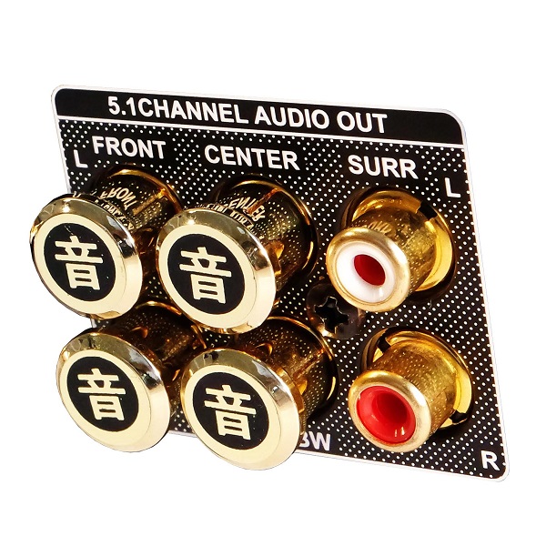 Akiko-Audio-RCA-Caps-Gold-In-Use-Audiocadabra